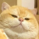 Oi
