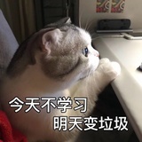 云之上