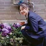 郑南音