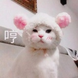 呐呐呐