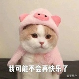 酒柚ff