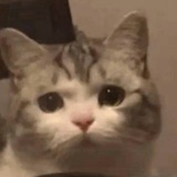 第一我不叫喂