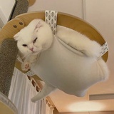 好事將至