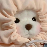 午夜心碎的玫瑰