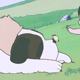 追逐阳光的宝贝