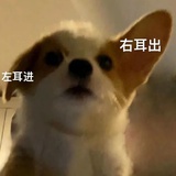 奶油面包HH吃啊