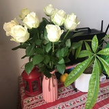 花花糖葫芦🍭