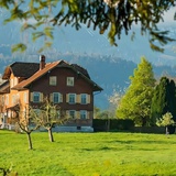 独钓寒江雪花酥