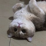 重要吗昵称
