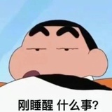 大象国公主