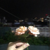 飞天小女警