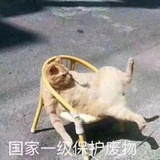 潋燃