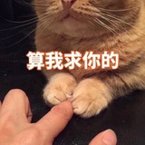 辣片店店长