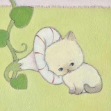 路觉🐳