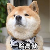 潆荧萤滢