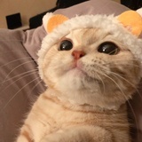 拉了吗今天