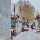 不跑路啦佛系
