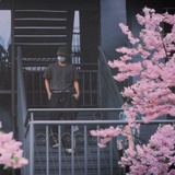 zty_