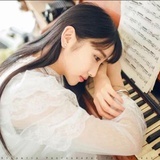 一只冥想的鸽子