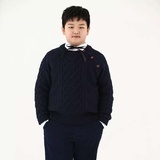 田木田木