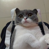 miger