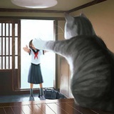 葭屿