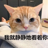 根正苗红的🌸骨朵