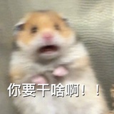Person Yi