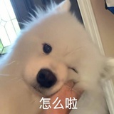 十六
