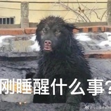 金焦糖派