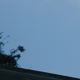 Summer_