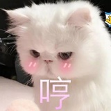 小可儿✨