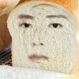 李鸿章