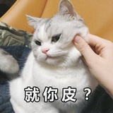 柚子酱