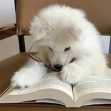 学习一点不痛苦