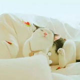xiaoyueyue
