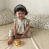 蜜蜂