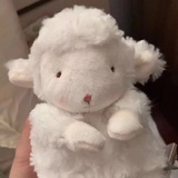 芋圆泥泥