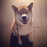 昳小君