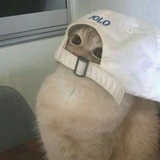 张不正