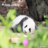 小酒是我的朋友