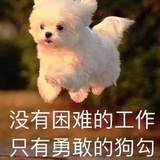 元气满满的闻子