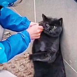 妈耶