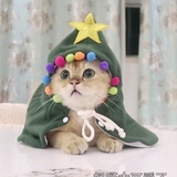Ertingjun