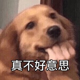 陈咩咩