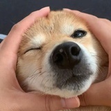 爱咋咋地