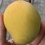 守望者甫r