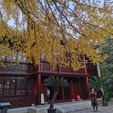 林下