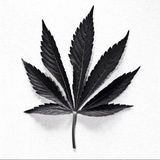 草果八角红烧肉