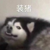 今晚干什么饭好